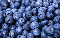 水果 蓝莓53115